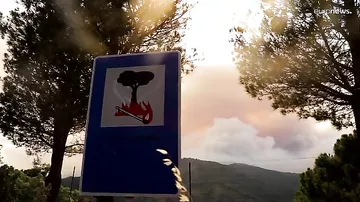 Лесной пожар в Малаге привел к массовой эвакуации