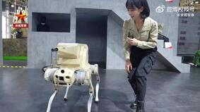 Смертоносная собака-робот