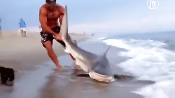 Рыбак поймал акулу и руками вытащил её на берег