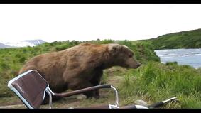 Медведь пришел к рыбакам, посмотрел на реку, зевнул и ушел
