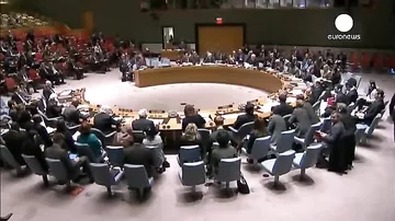 Совбез ООН принял предложенную РФ резолюцию по Украине