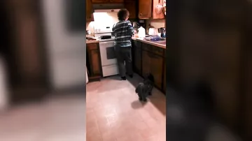 Отпадная бабушка отжигает на кухне