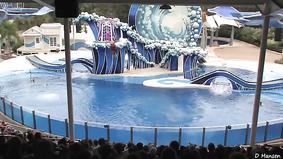 The Complete 2015 SeaWorld "Blue Horizons" Dolphin Show