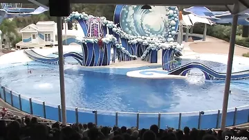 The Complete 2015 SeaWorld "Blue Horizons" Dolphin Show