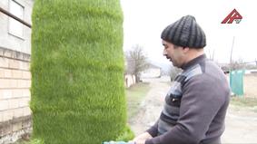 Qeyri-adi səməni: raket formalı Novruz atributu 3 metr hündürlüyündədir