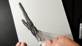 Trick Art, Drawing 3D Crocodile