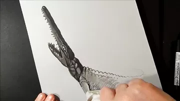 Trick Art, Drawing 3D Crocodile