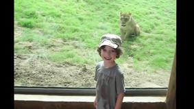 Дети в зоопарке- Самые смешные моменты!
