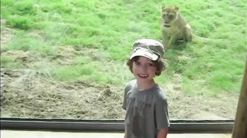 Дети в зоопарке- Самые смешные моменты!