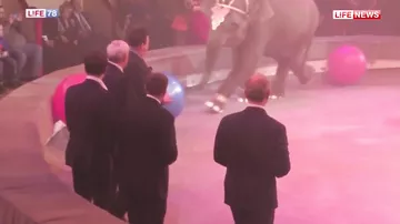 В Цирке на Фонтанке слон напугал Мединского, Кобзона и Полтавченко