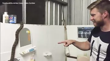 Australian Snake Catcher Filmed Coolly Wrangling a Python Out of a Family's Laundry