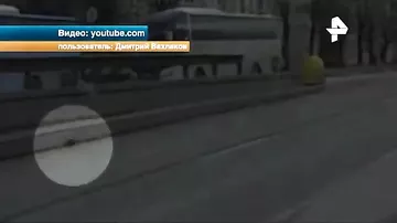 Таксист из Петербурга бросил машину, чтобы спасти котенка