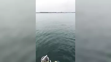 Неожиданный улов шокировал рыбака