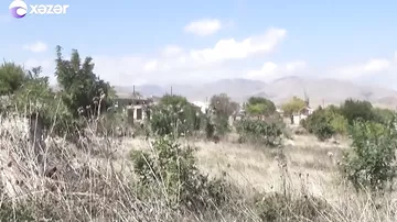 İşğaldan azad edilmiş rayonlarda yüksək gəlirli iş yerləri yaradılacaq
