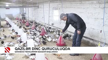 Qazilər dinc quruculuqda