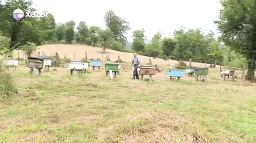 Subsidiyaları düzgün xərcləməyən fermerlər cərimələnəcək