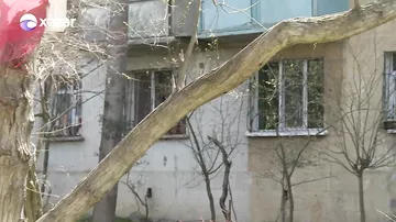 Çoxillik ağaclar bina sakinlərinə təhlükə yaradır
