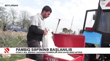 Pambıq səpininə başlanılıb