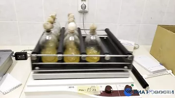 Dünyada bir ilk: Yeməli koronavirus peyvəndi hazırlanır