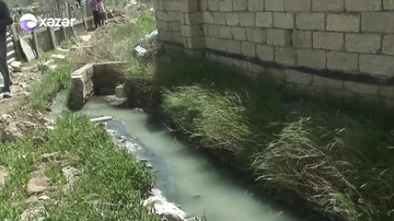 Sumqayıtda kanalizasiya suyu küçəyə axıdılır
