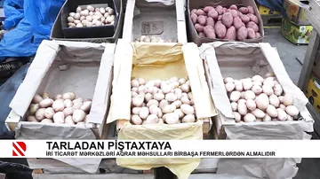 Tarladan piştaxtaya