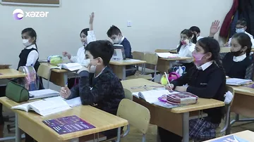 “Yay məktəbi” necə təşkil olunacaq?