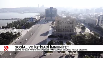 Sosial və iqtisadi immunitet