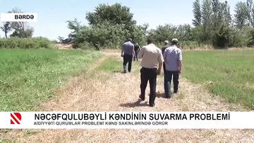 Nəcəfqulubəyli kəndinin suvarma problemi