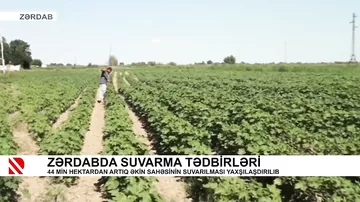 Zərdabda suvarma tədbirləri