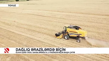 Dağlıq ərazilərdə biçin