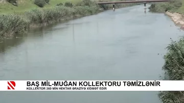 Baş Mil-Muğan kollektoru təmizlənir