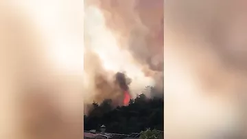 Более 180 человек пострадали из-за лесных пожаров на юге Турции