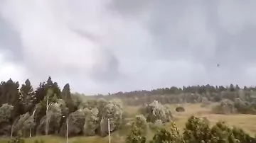 На западную часть Тверской области обрушился торнадо