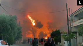 Более трёхсот человек эвакуировали из пригорода Афин из-за сильных лесных пожаров