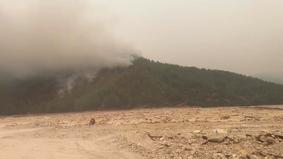 Азербайджанские пожарные локализовали крупные лесные пожары в Турции