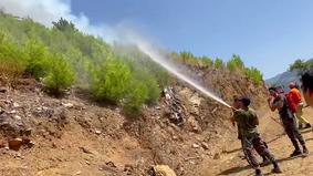 Азербайджанские пожарные локализовали крупные лесные пожары в Турции - 8