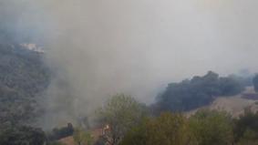 Лесные пожары бушуют в Средиземноморье