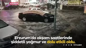 Türkiyədə daha bir “iqlim möcüzəsi”