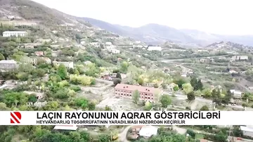 Laçın rayonunun aqrar göstəriciləri