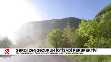 Şərqi Zəngəzurun iqtisadi perspektivi