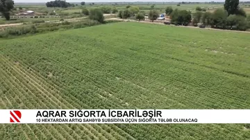 Aqrar sığorta icbariləşir