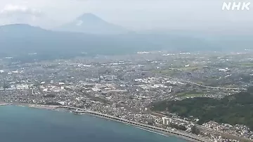 В Японии на берег выбросило 14-метрового мертвого кашалота