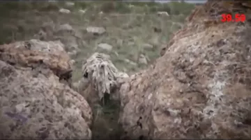 Azərbaycan ordusunda xüsusi təyinatlı qadınlar