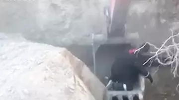 В Ханты-Мансийске рабочие спасли собаку, которая не могла выбраться из ямы с водой