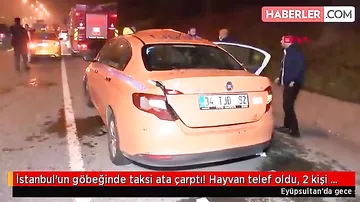 Taksi qarşısına qəfil çıxan at qəza törətdi - heyvat tələf oldu, iki nəfər yaralandı