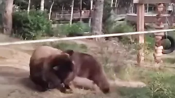 Bakı zooparkında maraqlı görüntülər