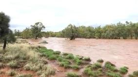 Наводнение в Австралии: мужчина шесть часов держался за дерево