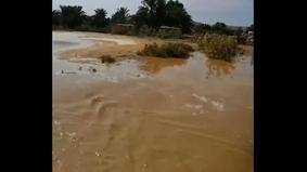 Египет атакуют наводнения и полчища скорпионов