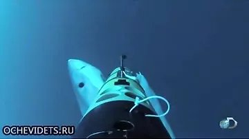 Нападение акул-людоедов на беспилотник сняли на видео
