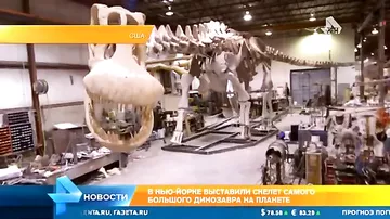 Скелет самого большого динозавра выставили в Нью-Йорке